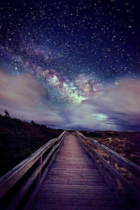 On the Trail of Stars