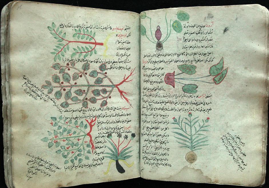 فارماکولوژی در دوران اسلامی