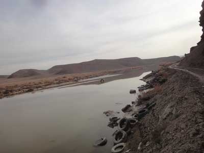 آجی پای 