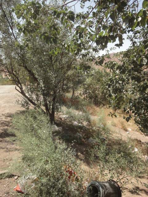 آرپا دره سی بولاغی