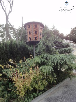 nest baku
