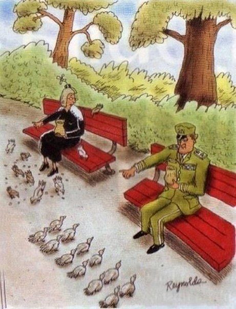 ردیف - نظم و انضباط
