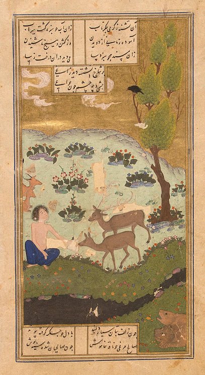 زاغ در کنار مجنون 