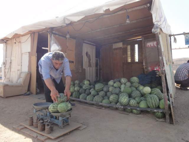 هندوانه - دیم - اهر