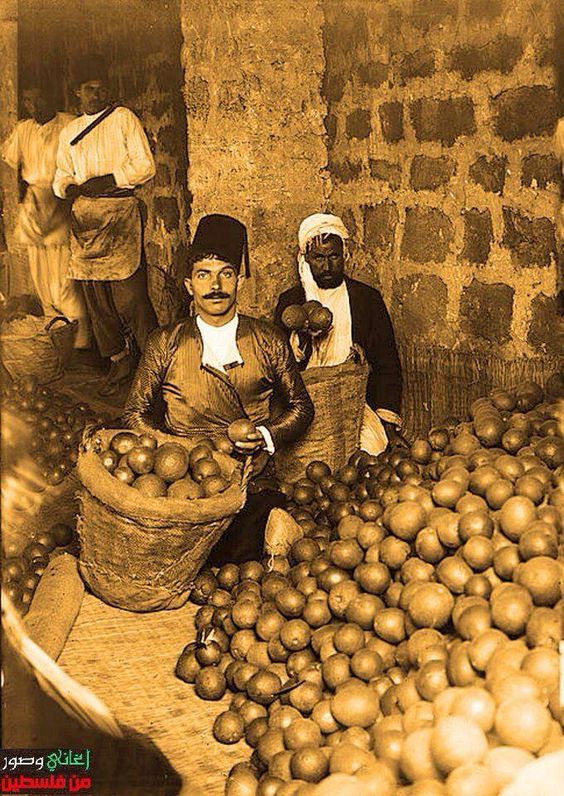 jaffa