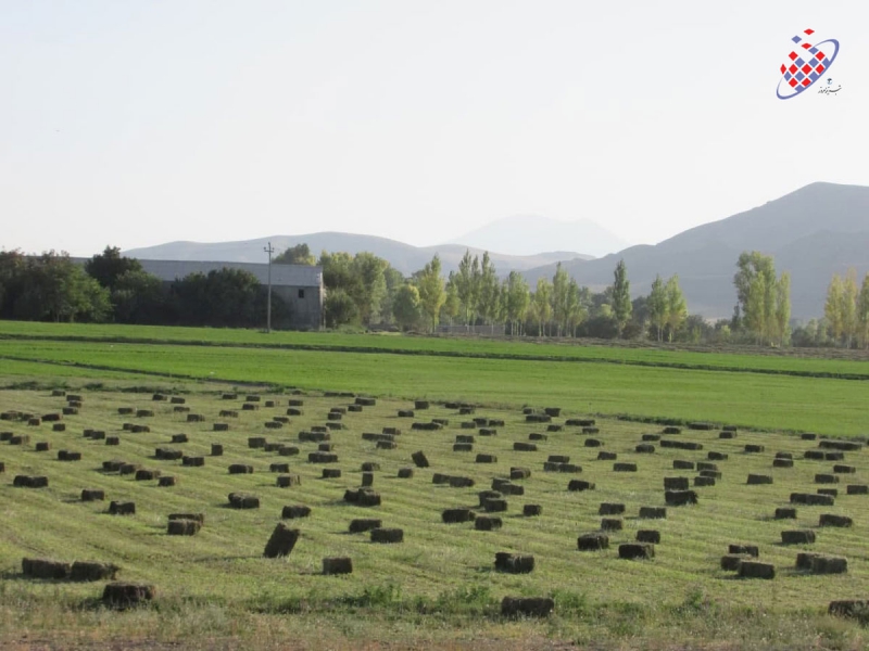 بستان آباد- کاوه وحیدی آذر - Kaveh Vahidi Azar
