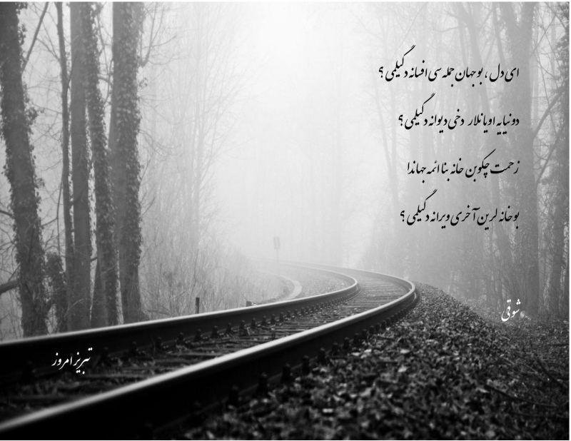  ای دل بو جهان جمله سی افسانه دگیلمی ؟  --شوقی