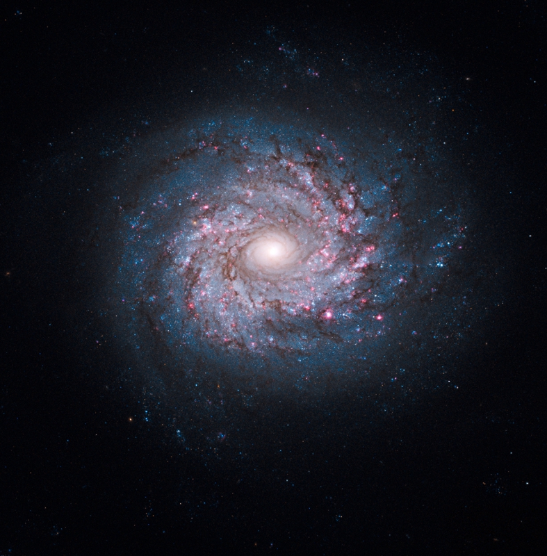 کهکشان  NGC 3982