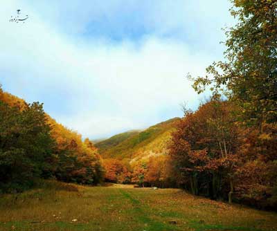 جنگل های ارسباران