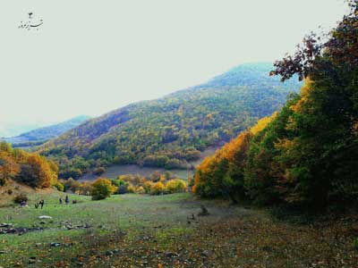 جنگل های ارسباران