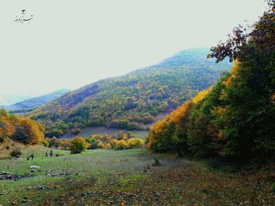 جنگل های ارسباران