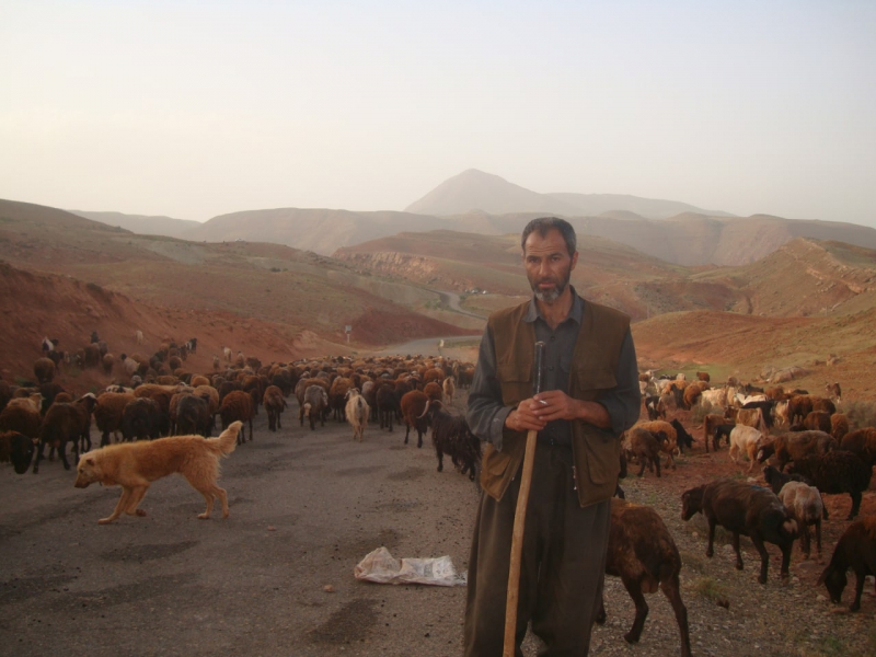 جواد  آقا چوپان  روستای لیقوان - عینالی تبریز - عکس از بابک وحیدی آذر -Babak  Vahidi Azar