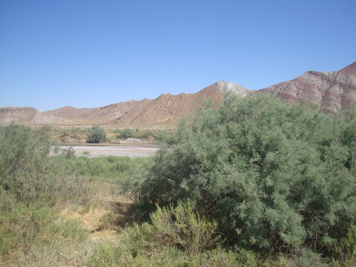 آجی - تبریز - رودخانه - چای