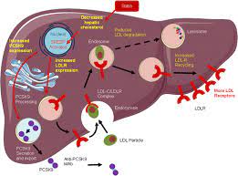 PCSK9